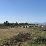 Villa Hideaway Stonehouse Pool For 2 Dalmatia Imotski